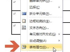 Word2010ɫĲ