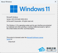  ΢Windows 11 Insider Preview Build 22621.601/22622.601 betaԤ