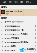 Win11 nvidia˽