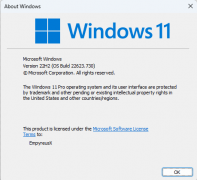΢Win11 22623.730汾ˣ(÷)