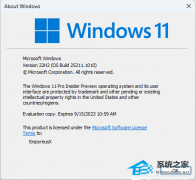 Windows 11 Insider Preview 10.0.25211.1010(KB5019342) (rs_prerelease) ˣ