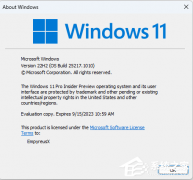 ΢Windows 11 Insider Preview Build 25217.1010 (KB5019765)ˣ