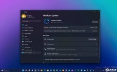 ΢Windows 11 Insider Preview Build 25227.1000ʼ͡СӾ仯