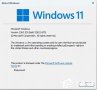 ΢Win11 KB5018486 Build 22621.875/22623.875Ԥ淢ˣ