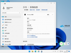 豸ҪװWin1122h2ṩ㣡
