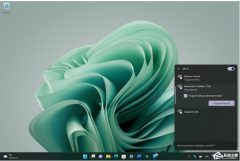 Win11 insider previewʲô汾ϵͳϸ