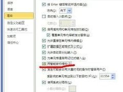 Excel2010ֿƴڴСĲ