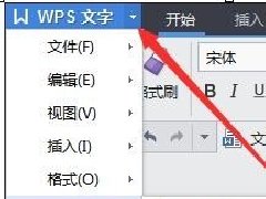 WPSôûǩϢ