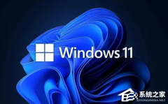 Win11 businessconsumerWin11 consumerbusinessĸ