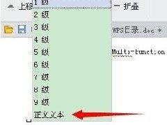WPS޸Ŀ¼ʽķ