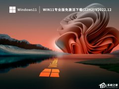 Win11ȫϵͳ22H2רҵ澵(ü)