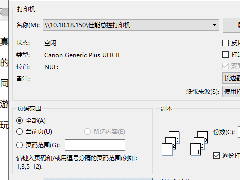 WPS˫ӡĵ