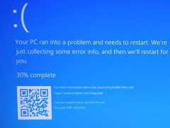 ΢޸ Win10 豸ϵ 0xc000021a 