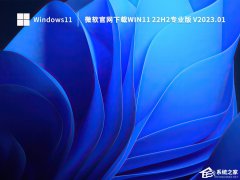 2023΢Win11רҵ(22H2)[ü棬]