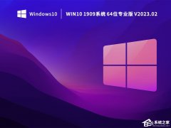 Win10ô1909汾Win10רҵ1909(ݸ)