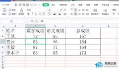 WPSӡô