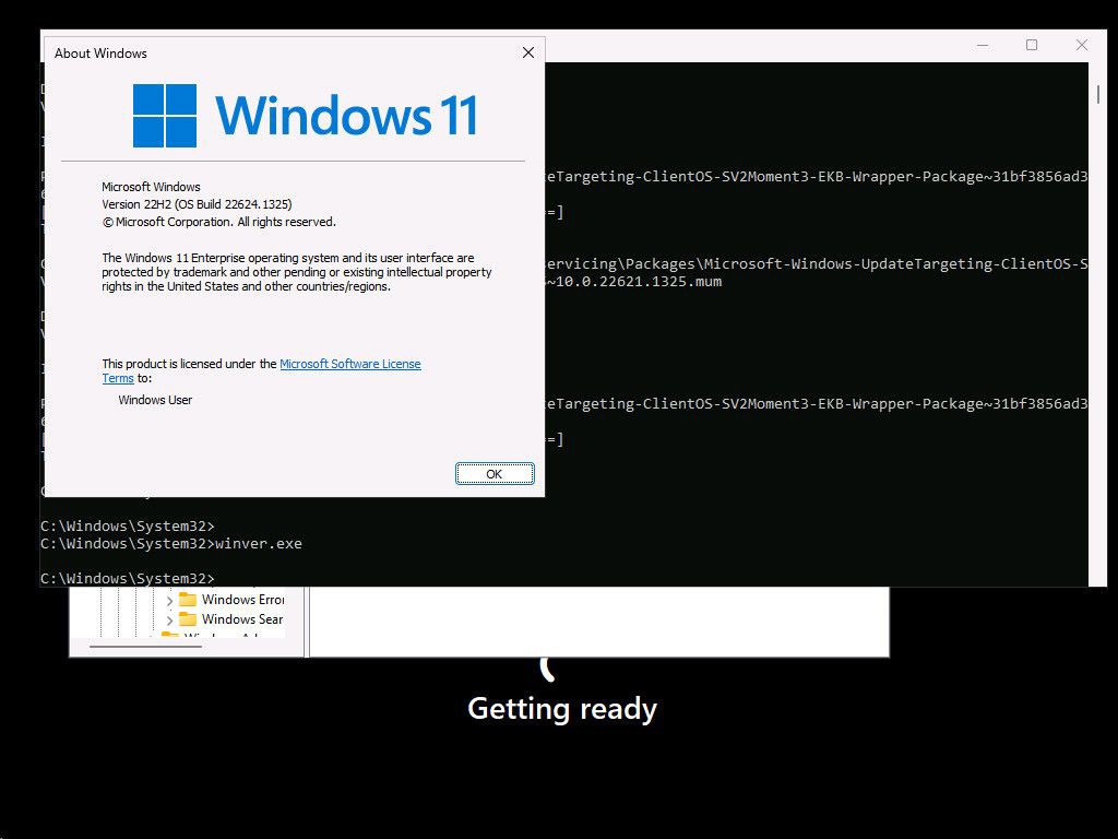 Ԥƽ 5 ƳWin11 Moment 3 ͼƬع