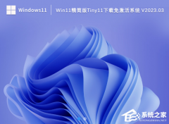 Win11tiny11أһװ⼤
