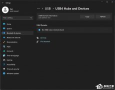 Win11Ԥ25314USB4רҳ棿USB4רҳ淽