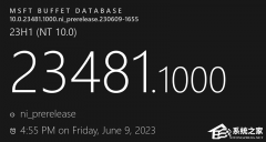 ΢Win11 Dev 23481.1000°淢־