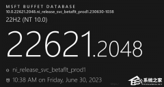 ΢Win11 Beta 226x1.2048(kb5028247)¸£Դӭȫ¹