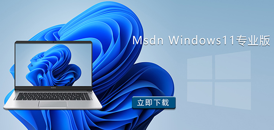 Windows11专业版下载_Msdn Windows