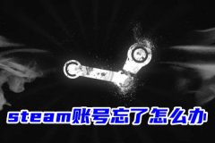 Steam˺ô죿Steam˺һصķ