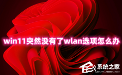 Win11ͻȻûwlanѡô죿Win11翴wlanĽ