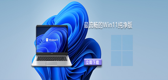 Win11