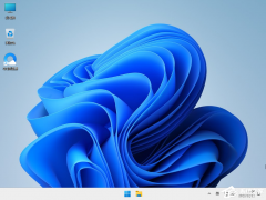 ΢Windows11רҵվشȫ