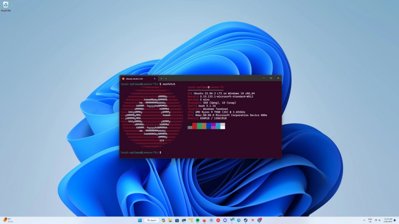 ΢ Win11 Linux ϵͳ ͼν WSL ϵͳ