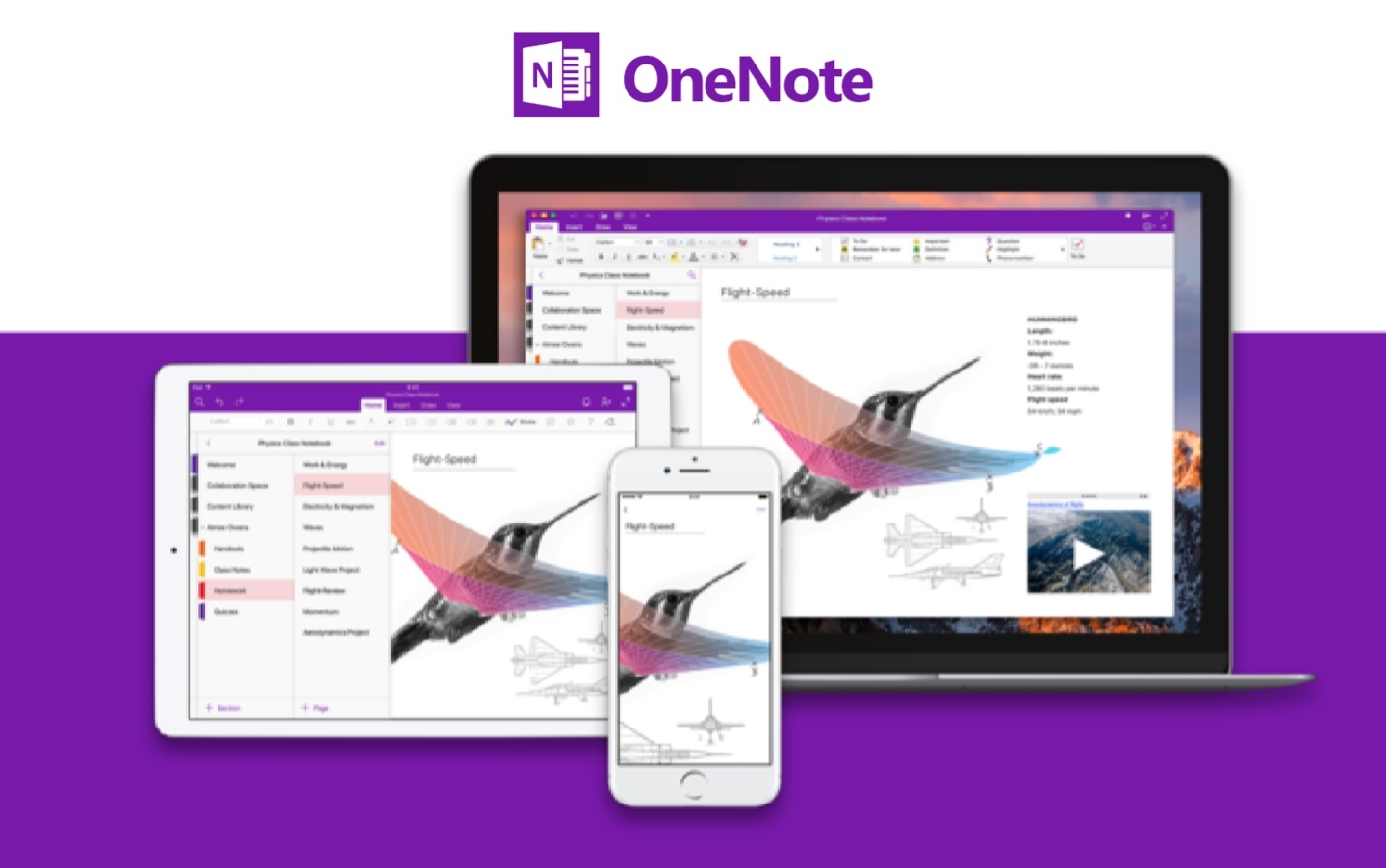 ΢ OneNote for Win10 ʮֹ֧֣ͣû辡ǨƵ
