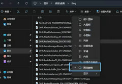 Win11ļԤô-Win11ļԤܵķ