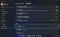 Windows11Ӳ·