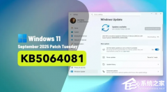 ΢ 8  Win11 24H2 RP 26100.5061KB5064081£־