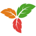 TriliumʼV0.99.0 İ