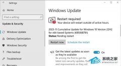 ΢ Win10 ׸ ESU չȫ´ڰװ