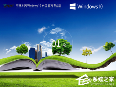 ����ľ�� Win10 ϵͳ���أ�������� / ��ʽ��