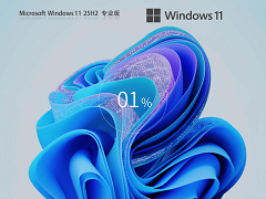 һ����ȡ  Windows 11 25H2 רҵ�� ISO �������ϻ�����������
