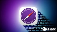 ƻ��ר����������Թ��� Safari ӭ 10 ���꣡