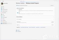 ΢������ Win11 Ԥ�������飡Ŀ������鲢����͸����