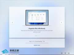 ʵ��΢�� Win11 OOBE �������Ժ���¡����������ü����ƹ�