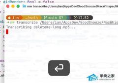 ת¼���� MacWhisper ���� 13.20 �汾�����������й���