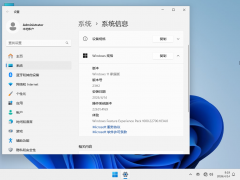Windows11 25H2/24H2/23H2 ��ͥ�����ش�ȫ