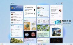 ΢�������� Win11 С����Ǳ���ɫ����Ϊ�Զ�ƥ��ϵͳ����ɫ