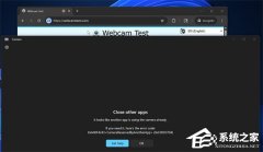 ��Ƶ����ʹ������Win11 ����ͷ������ʽ�ſ�