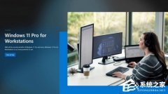 ΢����ǿ Win11 �汾��רҵ����վ֧����·�������� 6TB �������ڴ�