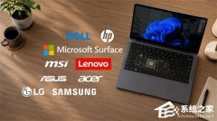 ΢�������޲��� Win11 ��ȫ�������� bug����Դ���ڵײ� UEFI �̼�����