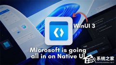 ΢������ԭ��Ӧ���ձ��ڴ�ռ�ù��ߣ����д�ĥ WinUI ����