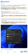 Win11 Ԥ�������� WinUI �Զ����ŵ�����������������